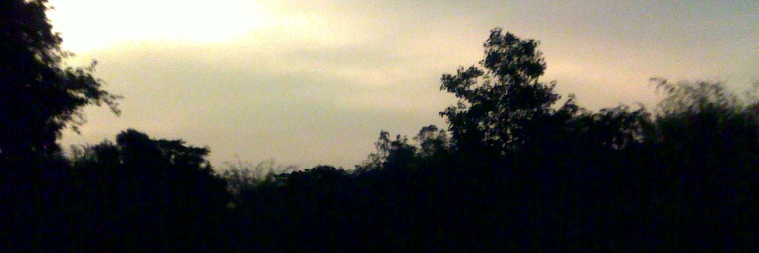 _Wrick_great's profile banner image