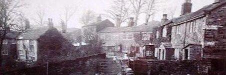 Catherine Carus banner