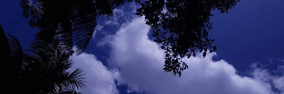 Ptitchkoo's profile banner image