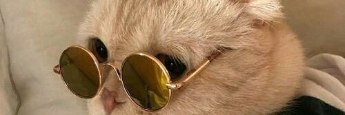 richmarmuga's profile banner image