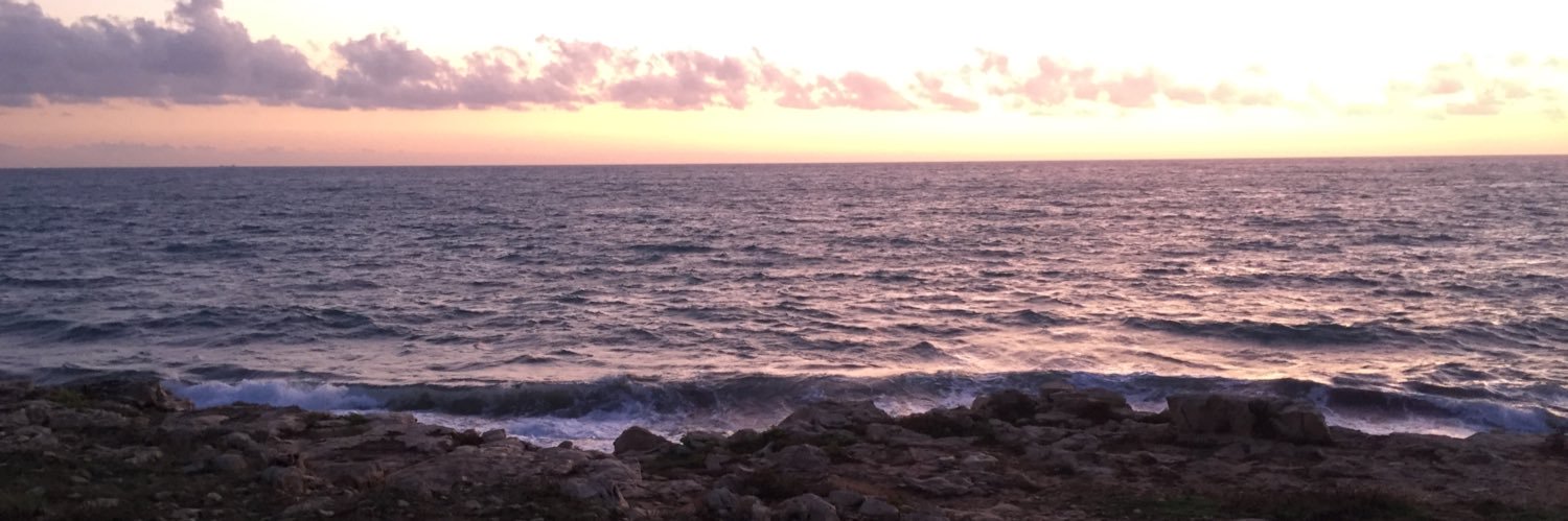 TBartoloni's profile banner image