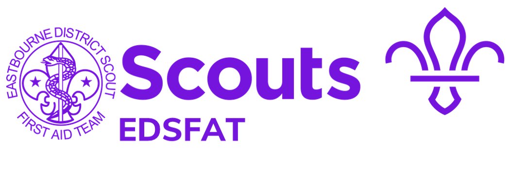 Eastbourne District Scout First Aid Team banner