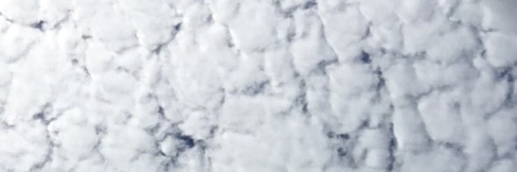 Dee_F_O's profile banner image