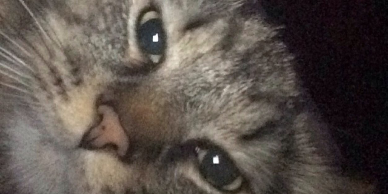EmJuuuds's profile banner image