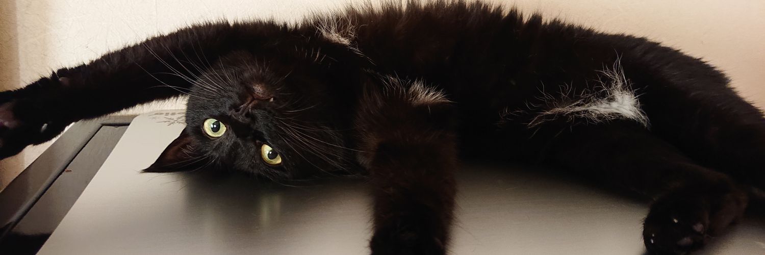 moimoi_nyan's profile banner image