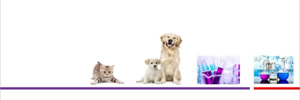 FriulchemSpA Profile Banner