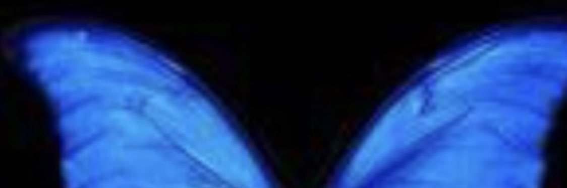 MayIneke's profile banner image