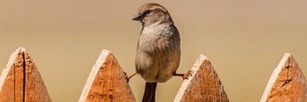 Heleen Versprille banner