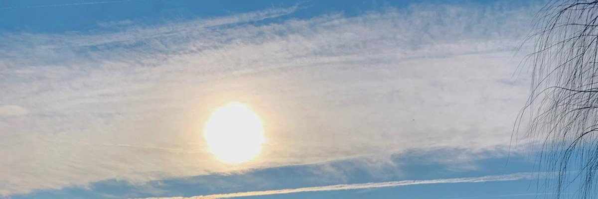 elbromaskapo's profile banner image
