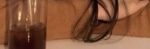 secha banner