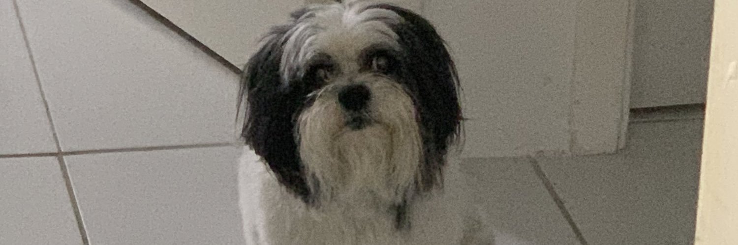 notlastpuppet's profile banner image