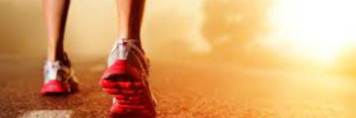 Kim Boonstra banner