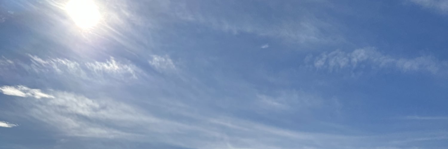 sugarmansherry's profile banner image