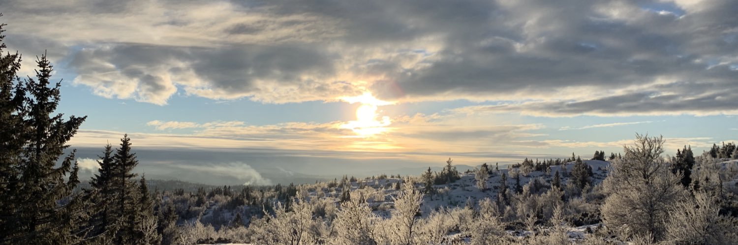 Frode Overland Andersen banner