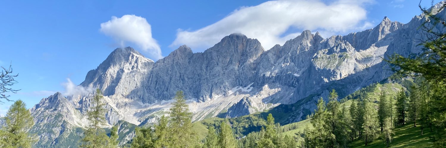 Wolfram Proksch banner