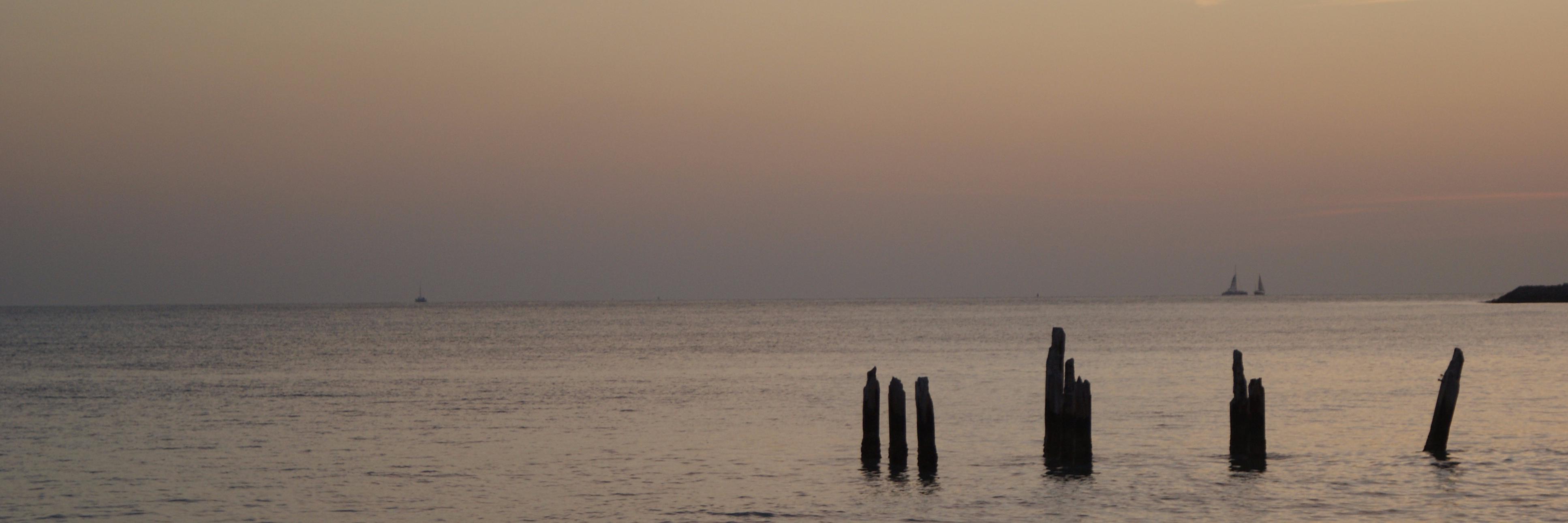 emdawgz1's profile banner image