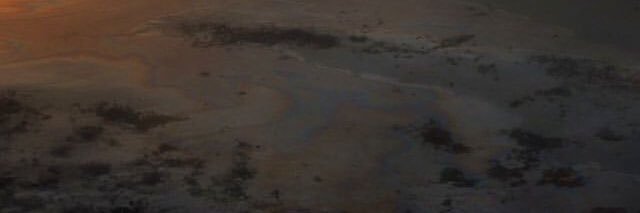 julimoquito's profile banner image