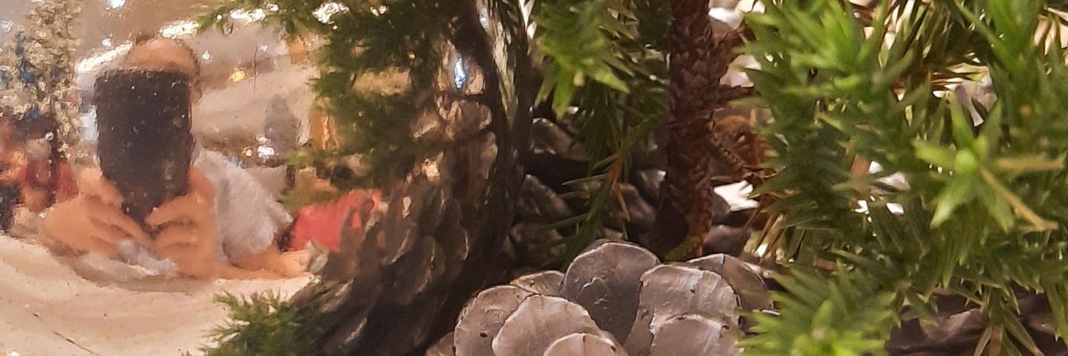 fu_fuang's profile banner image