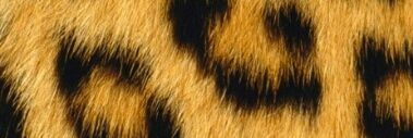 _Annabustillo's profile banner image