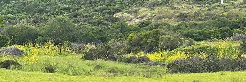 _MiguelBanda's profile banner image