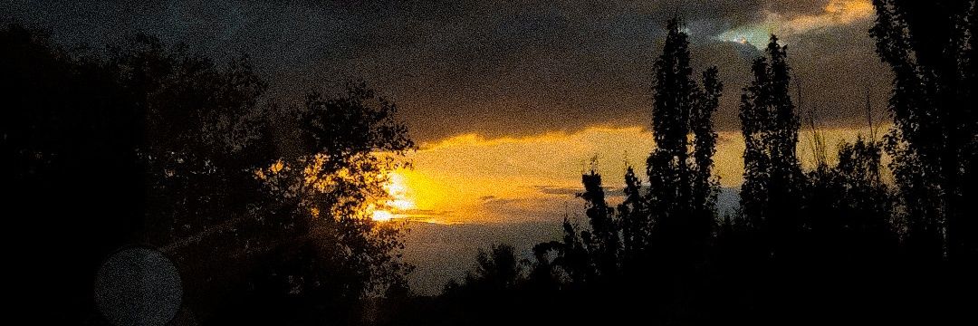 ceeliajc's profile banner image