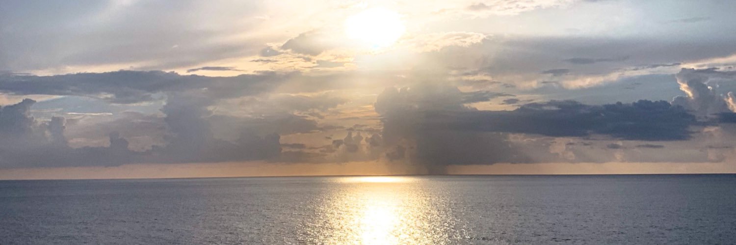ryannecepeda's profile banner image