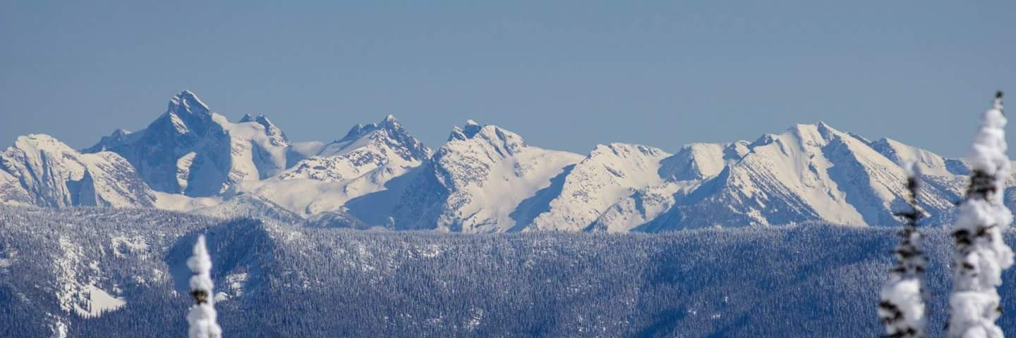 CarterBooth41's profile banner image