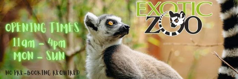 Exotic Zoo 🦎 banner