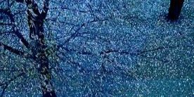alaroode's profile banner image