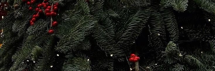 AngelinGrishina's profile banner image