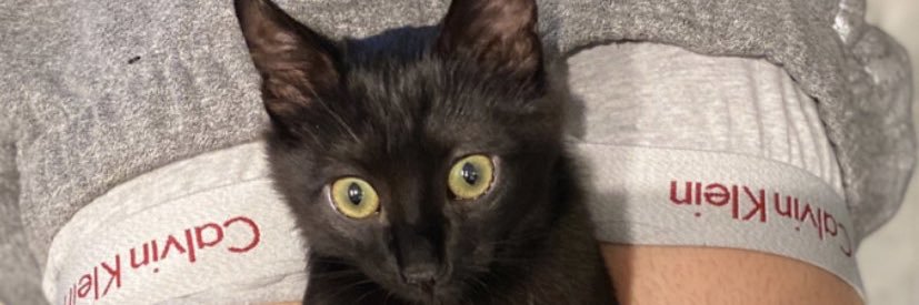 Baby1Gunner's profile banner image
