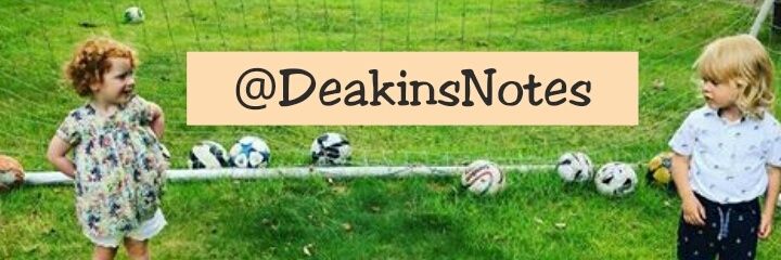DeakinsNotes's profile banner image