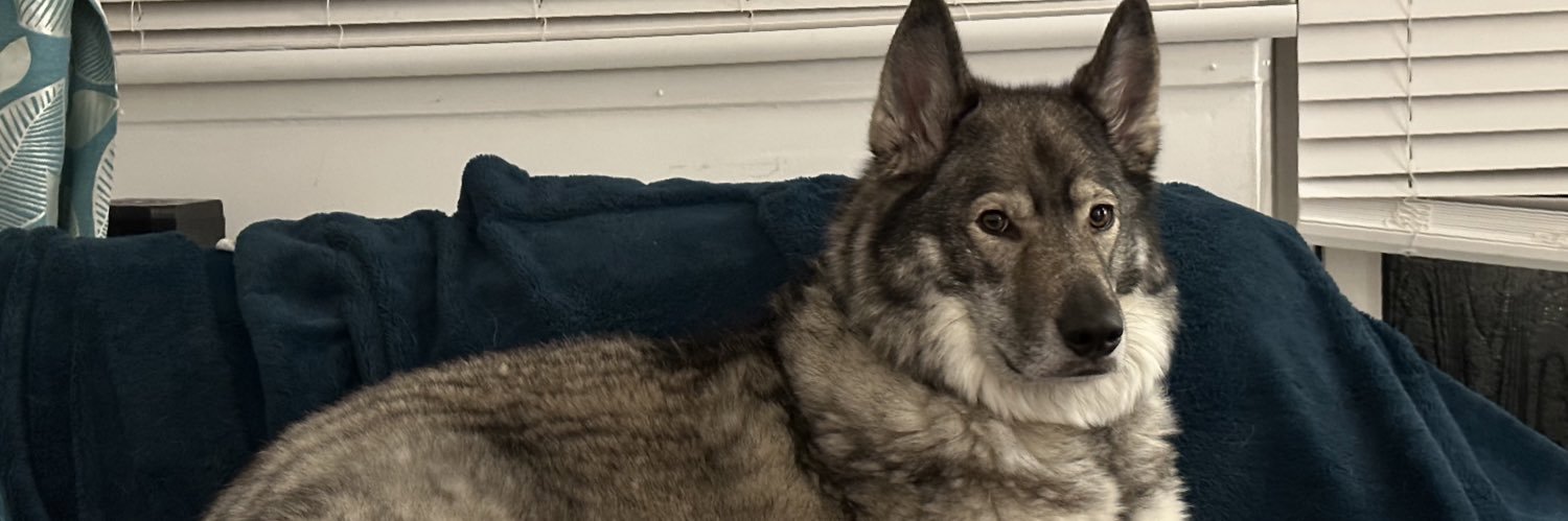 pamelamacp's profile banner image