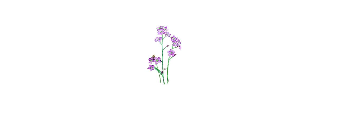 byeolirin's profile banner image