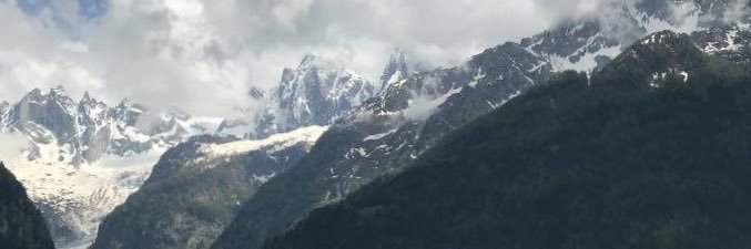 Michelle DeYoung banner