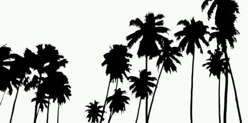 xYSA_'s profile banner image