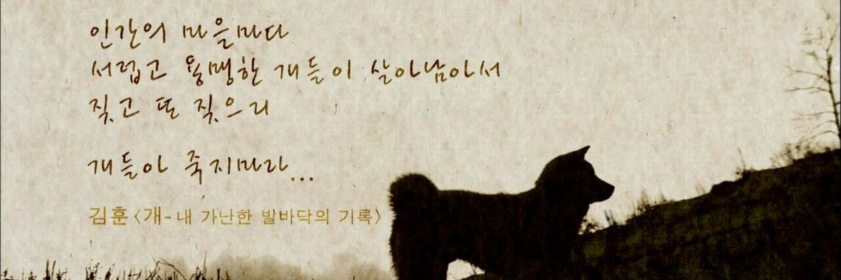 붉은여명 banner