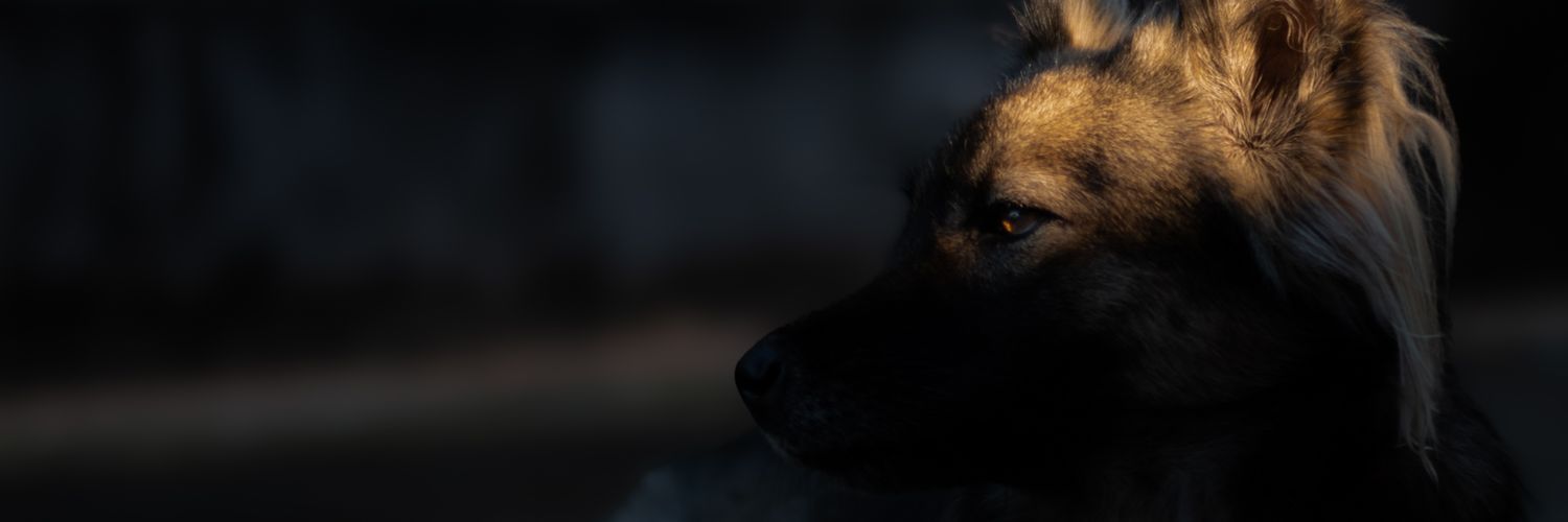 b. banner