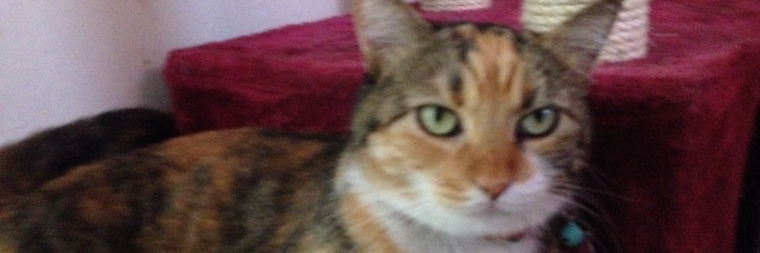 MoniHernandezT's profile banner image