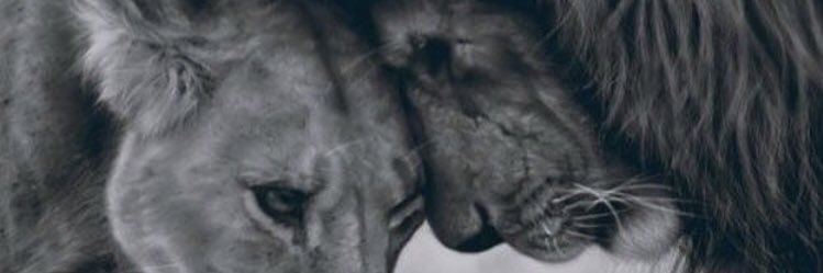 meeesaad's profile banner image