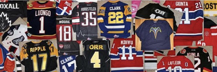 Dawn McMichael Riley banner