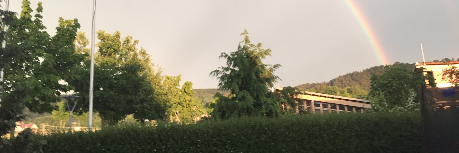 ZiccoL's profile banner image