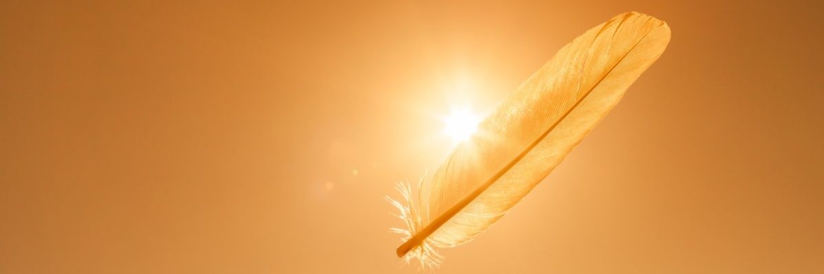 Pato_Drack's profile banner image