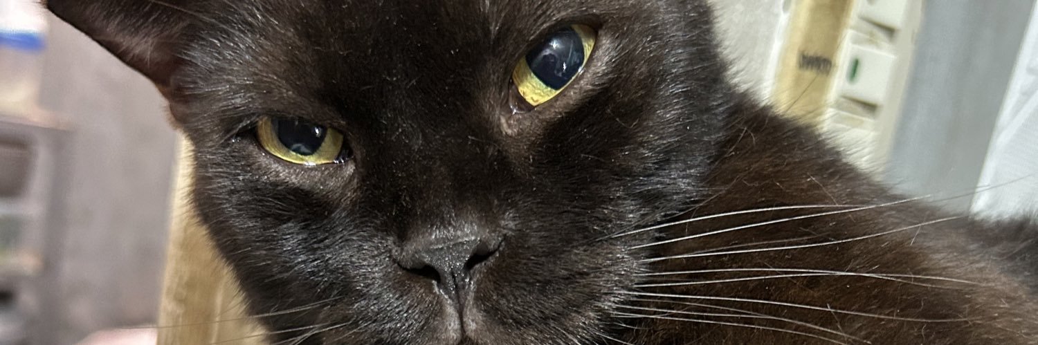 radfides's profile banner image
