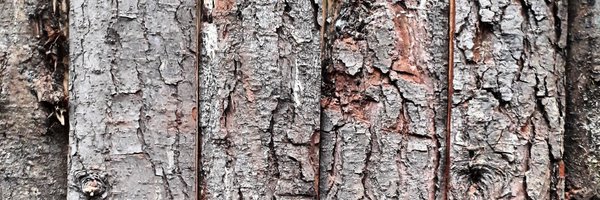 sole_larrain Profile Banner