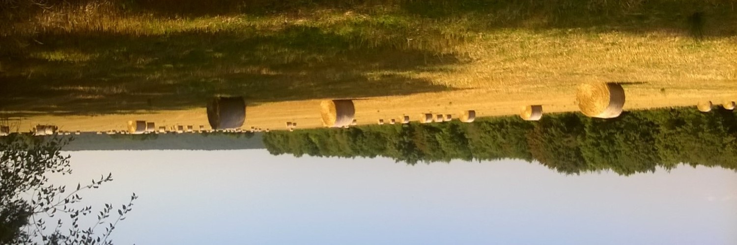 5221Saujon's profile banner image