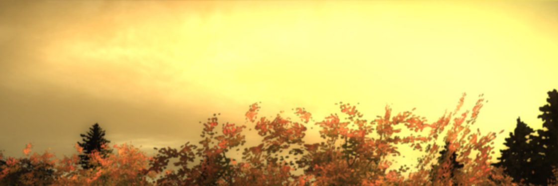 Lucy__Kuo's profile banner image