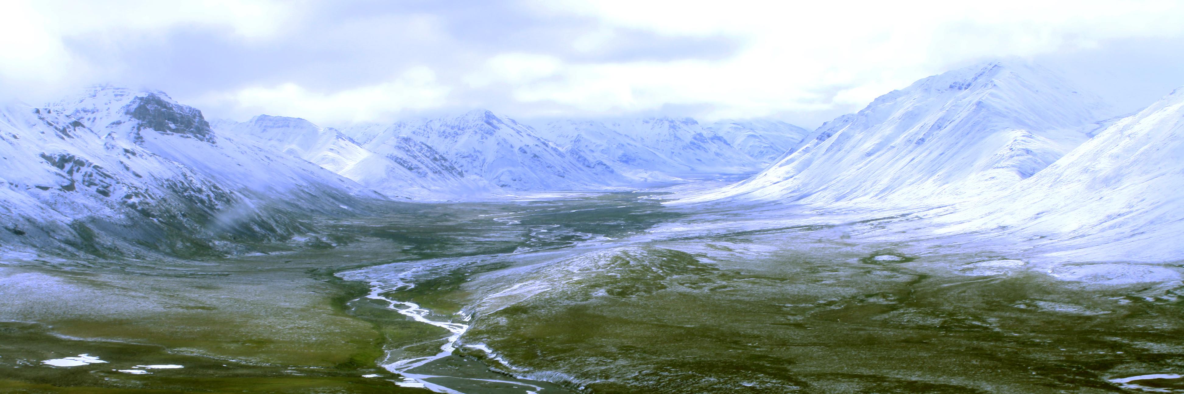 Mark C. Urban banner