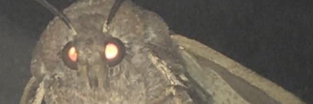 AyooSammmi_'s profile banner image