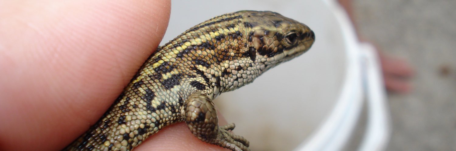 ContractEcology's profile banner image
